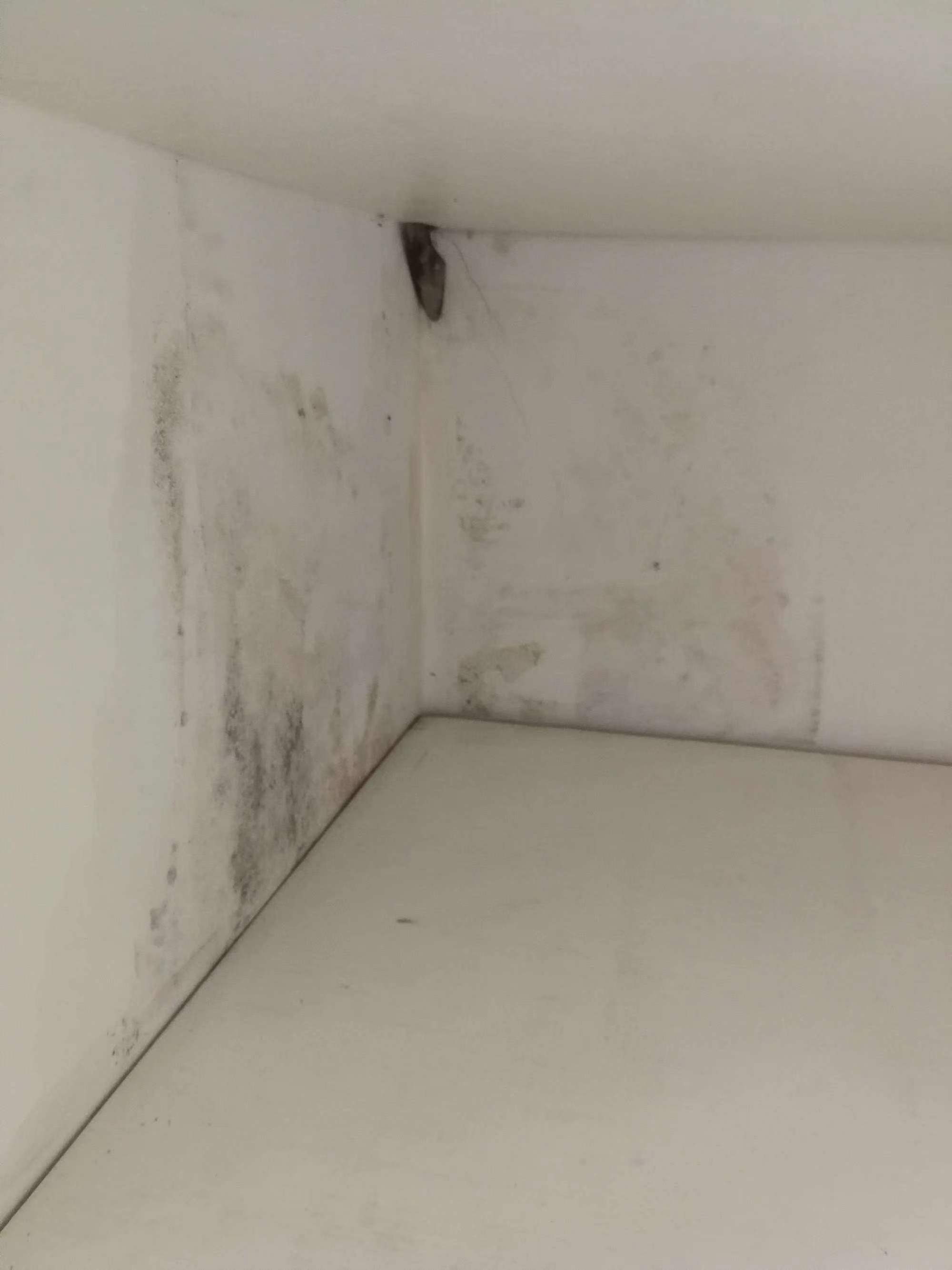 1660726742660407.jpg 1660726742660407.jpg